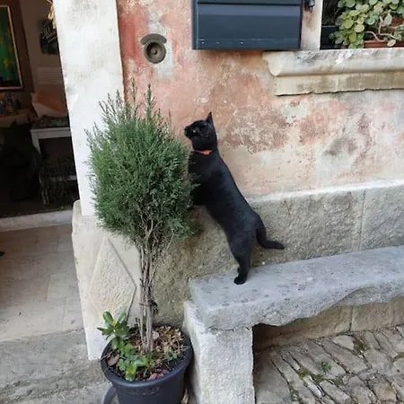 In The Istrian Village