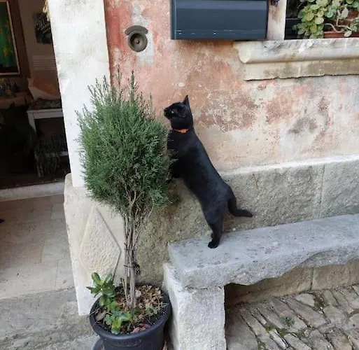 In The Istrian Village