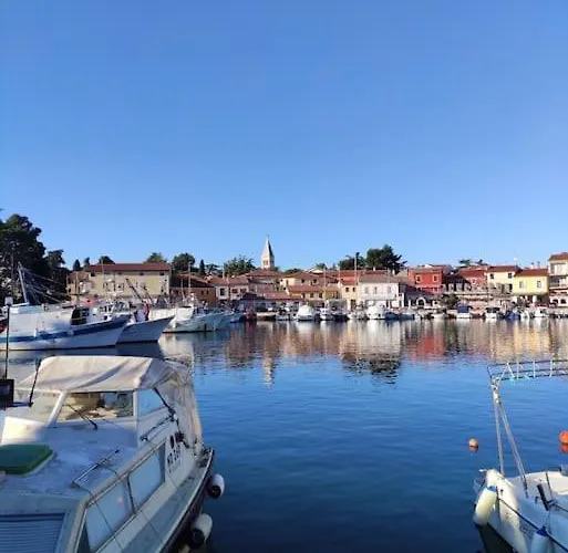 Appartamento In The Istrian Village *